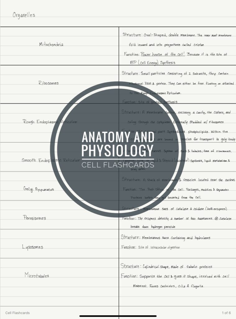 printable-anatomy-and-physiology-flashcards-printable-worksheets