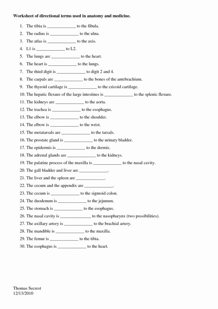 Anatomy Directional Terms Practice Worksheets Answers