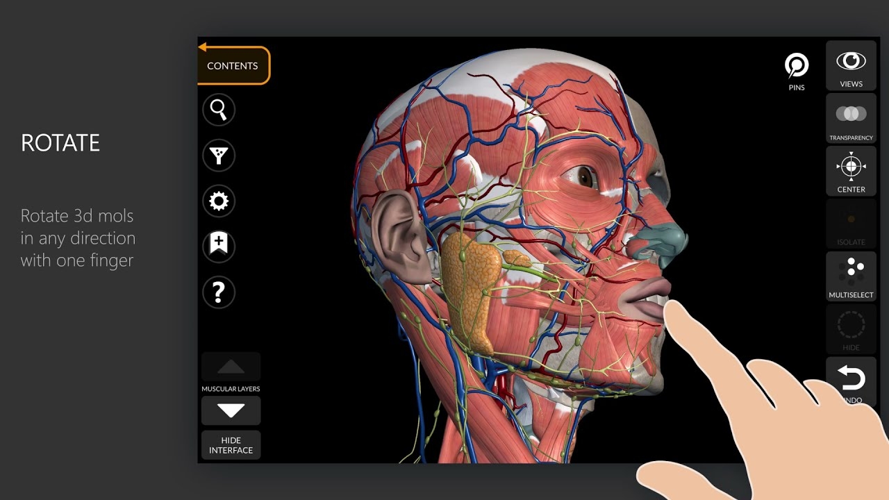 ANATOMY 3D ATLAS Anatomy 3D Atlas Human Anatomy Apps
