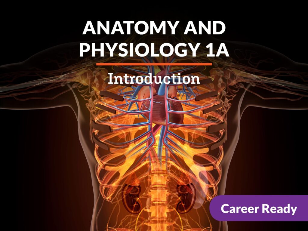 Anatomy And Physiology 1a Introduction EDynamic Learning