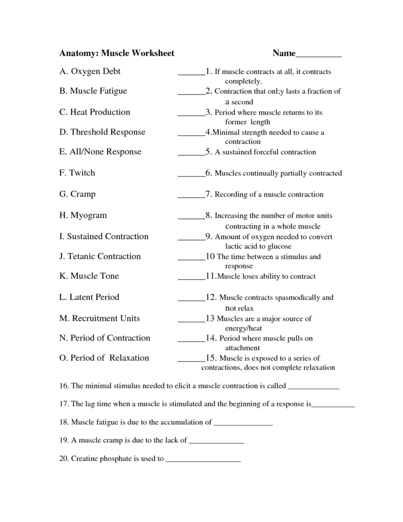Anatomy And Physiology Worksheets Free