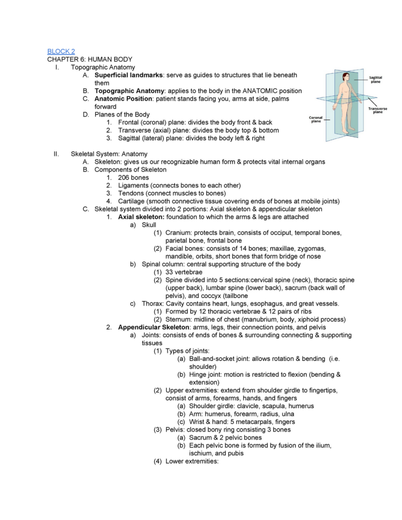 Anatomy And Physiology Chapter 6 Worksheets Answers