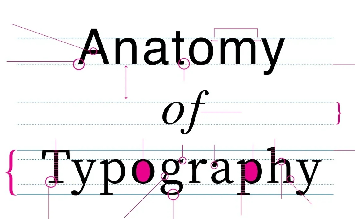 Anatomy Of Typography Worksheet Adobe Education Exchange