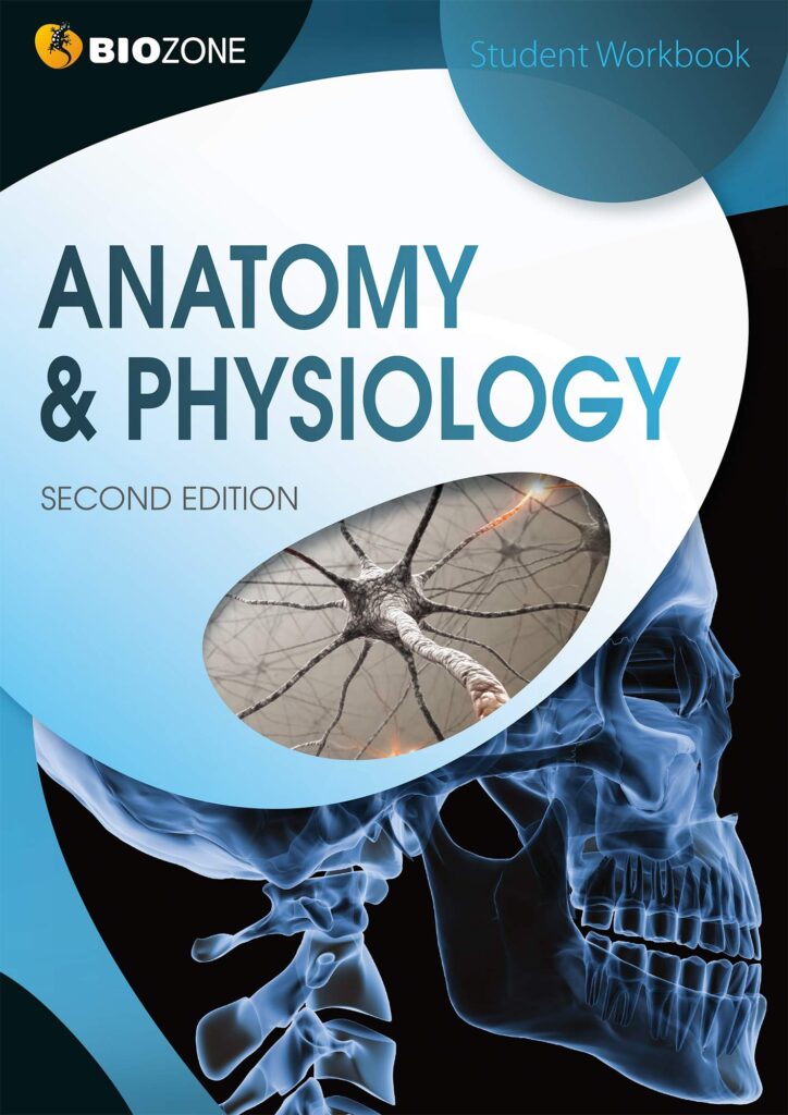 Anatomy And Physiology Student Workbook Answers