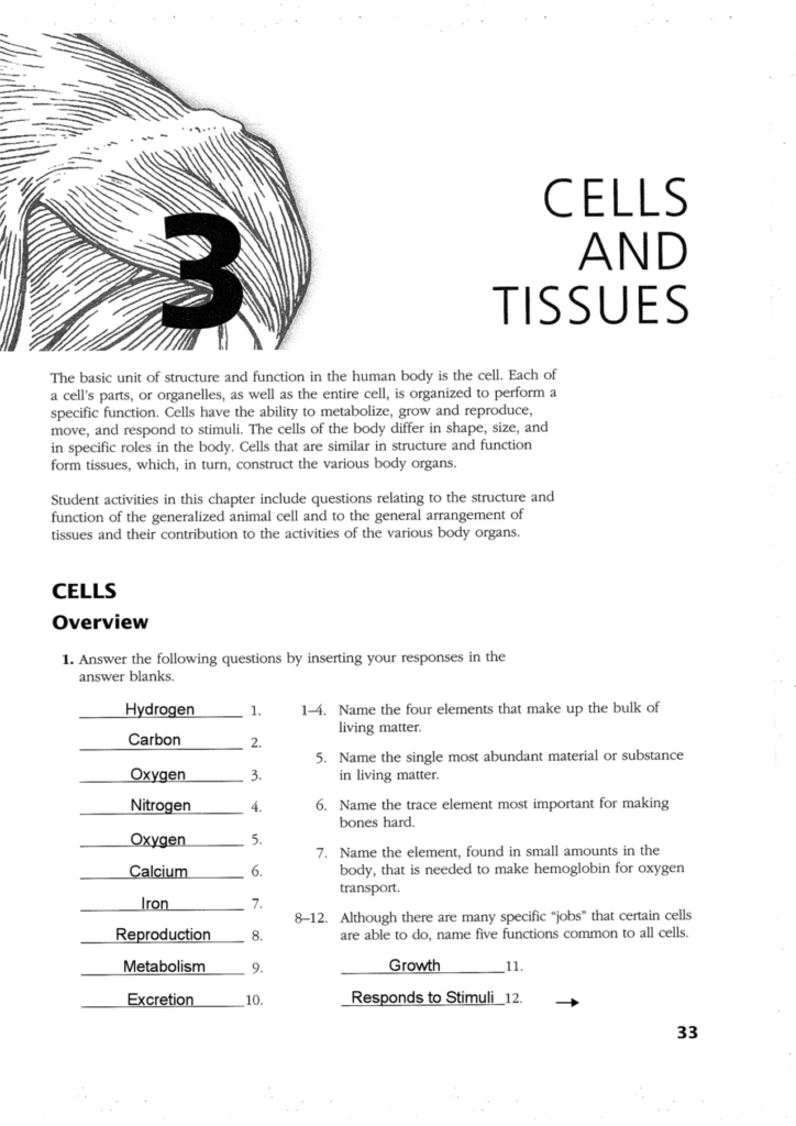Cells And Tissues Worksheet Assignments Anatomy Docsity