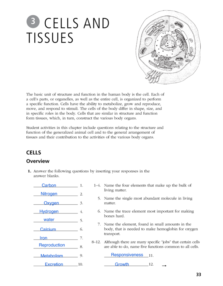 Anatomy And Physiology Chapter 3 Cells Worksheets Answers - Printable ...