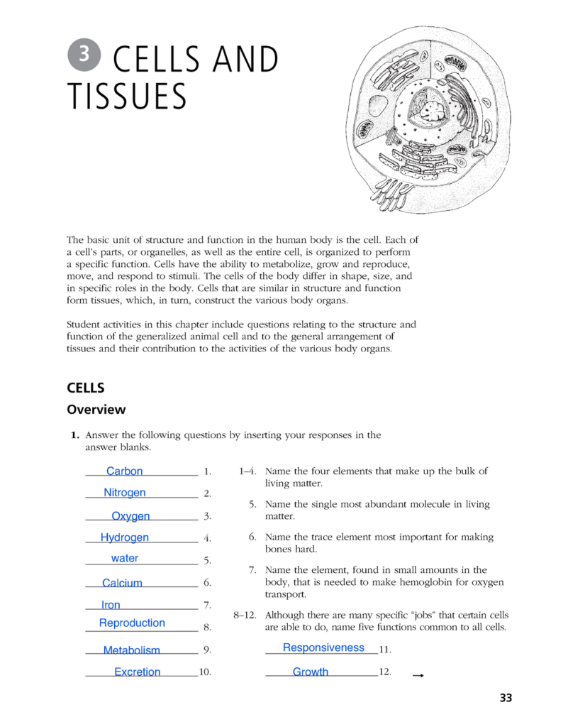 Chapter 3 Workbook Cells And Tissues The Basic Unit Of Structure And Function In The Human Body Is Studocu
