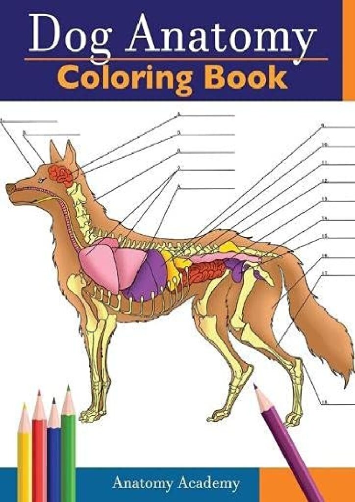 Veterinary Anatomy Coloring Book Pdf