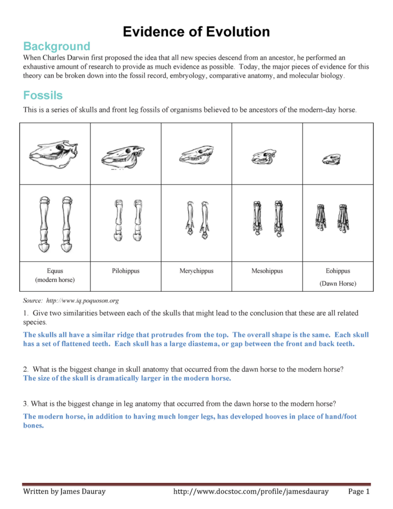 Comparative Anatomy Worksheets Answers