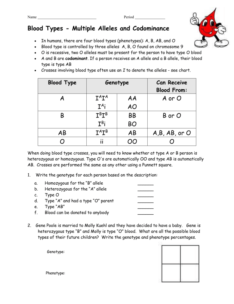 Blood Types Multiple Alleles And Codominance Worksheets Answers