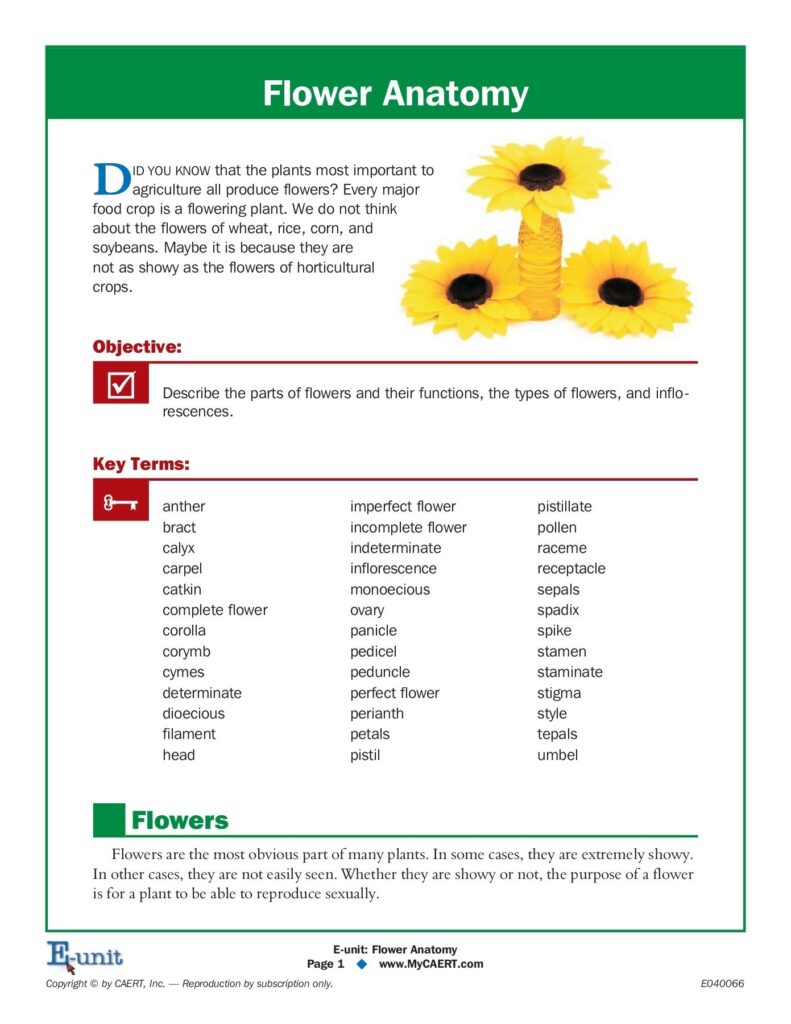 Flower Anatomy Carlisle County Public Schools Pages 1 6 Flip PDF Download FlipHTML5