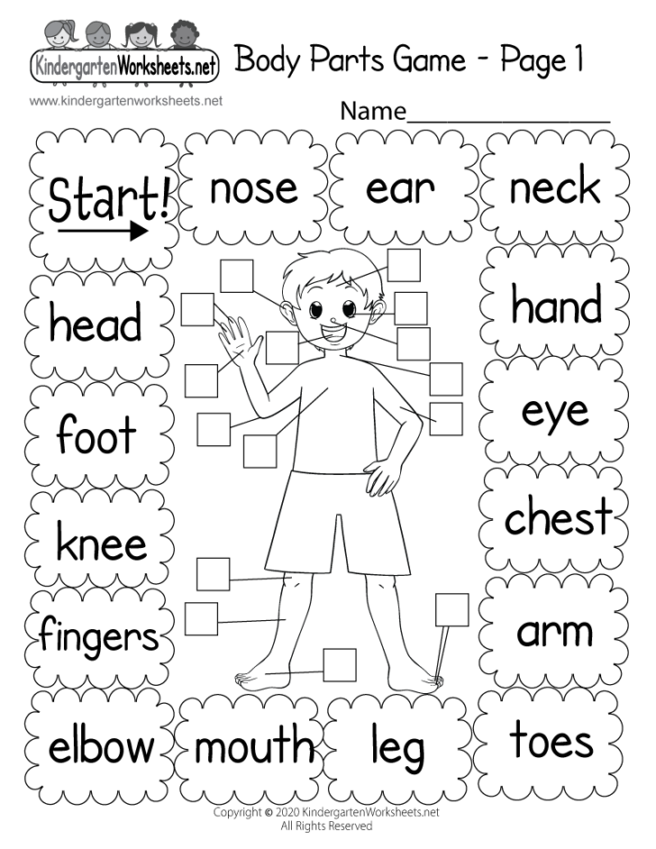 label-the-body-parts-worksheet-for-grade-2-your-home-teacher