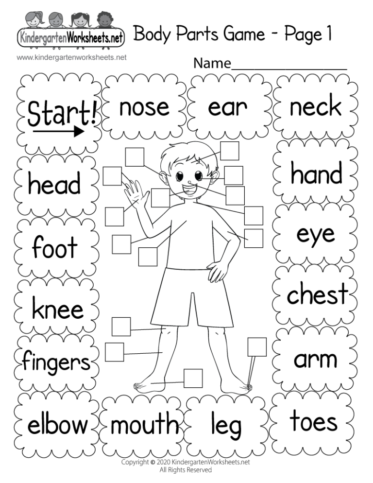 Free Printable Body Parts Worksheets Printable Worksheets