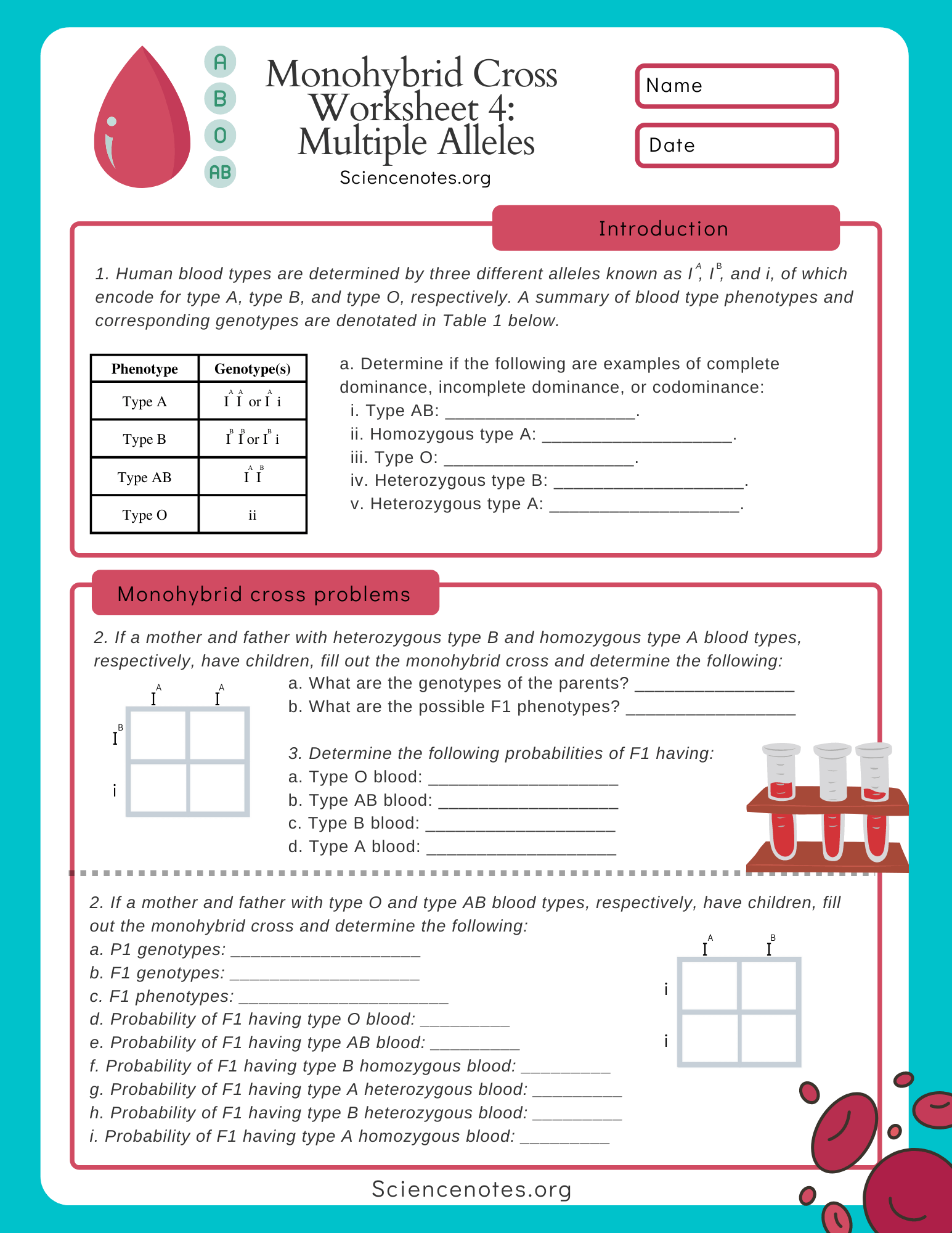 Codominance And Multiple Alleles Worksheets