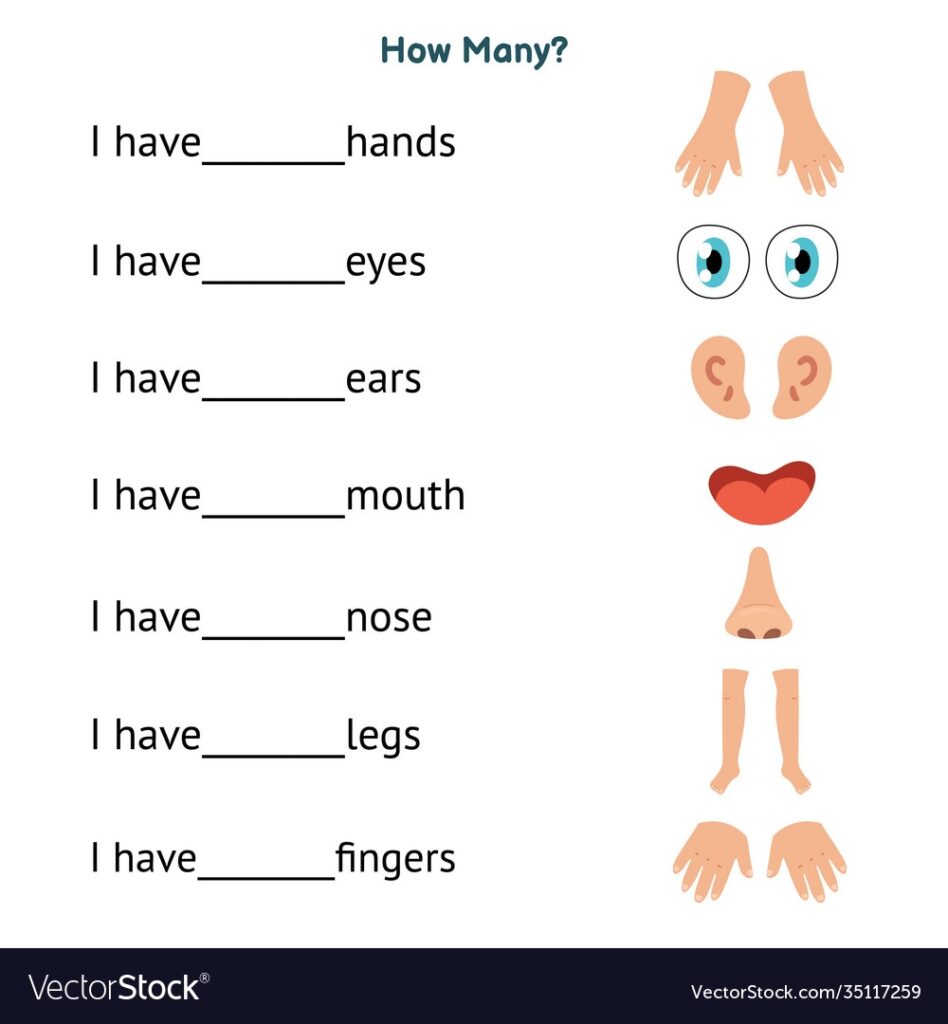 How Many Worksheet With Body Parts For Kids Write Vector Image