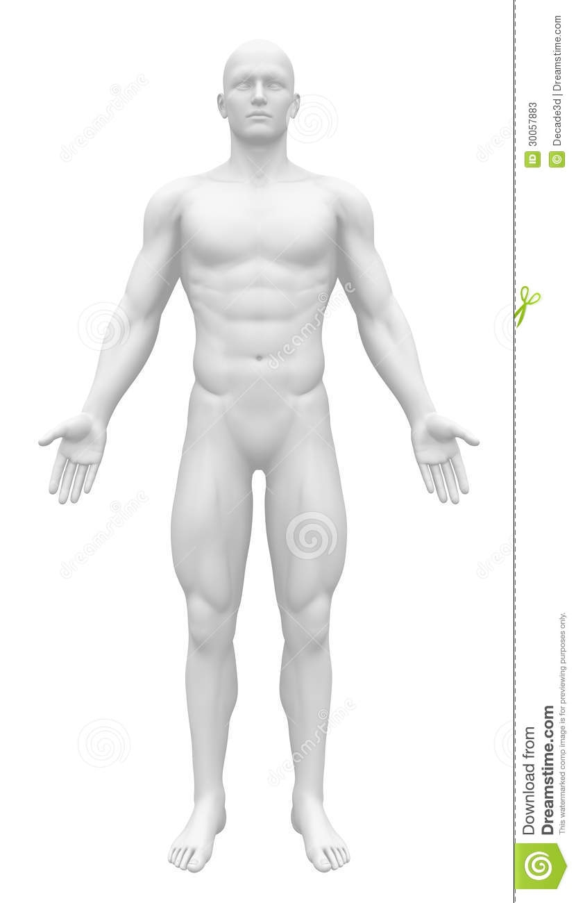 Human Body Blank Anatomy Stock Illustrations 635 Human Body Blank Anatomy Stock Illustrations Vectors Clipart Dreamstime