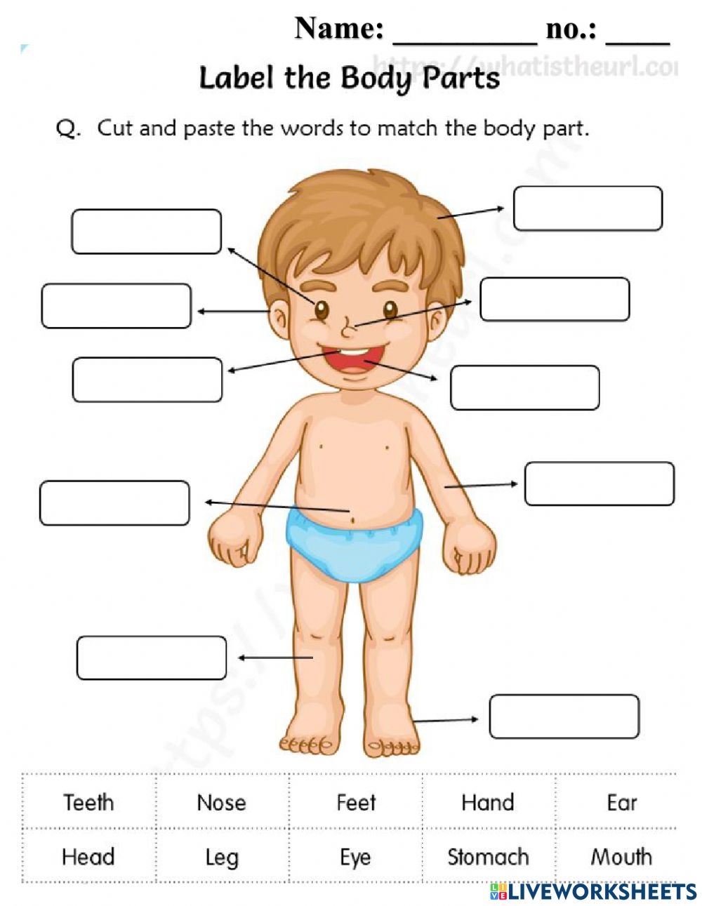 Human Body Parts Interactive Worksheet For 1