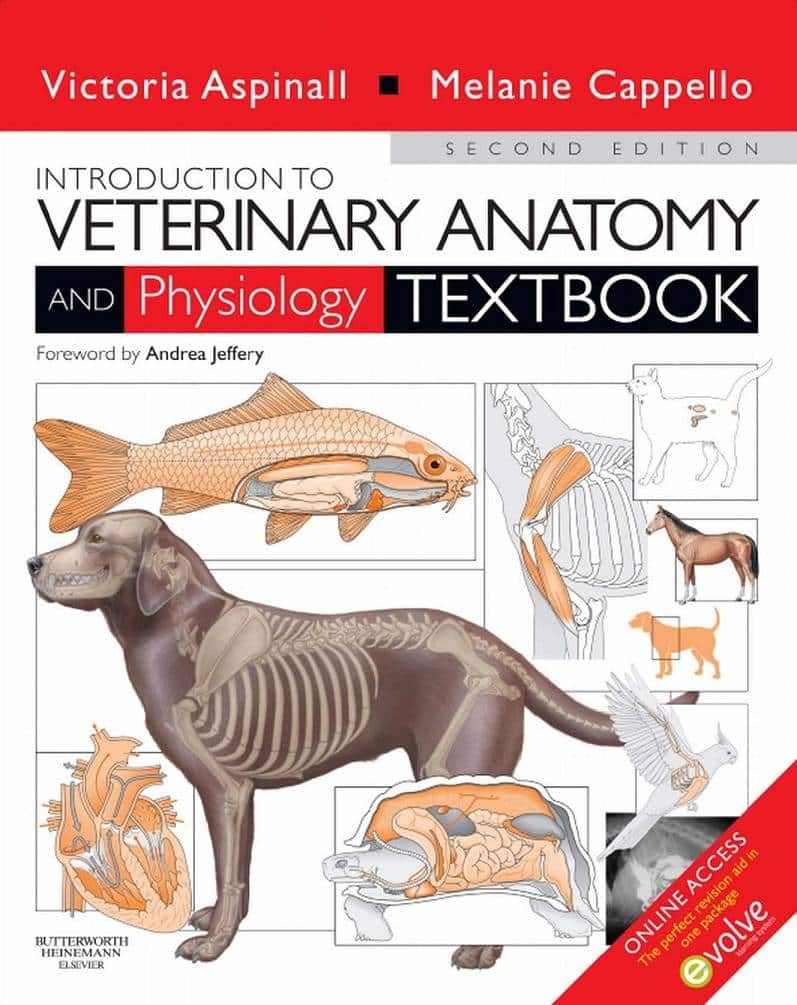 Introduction To Veterinary Anatomy And Physiology 2nd Edition PDF PDFLibrary