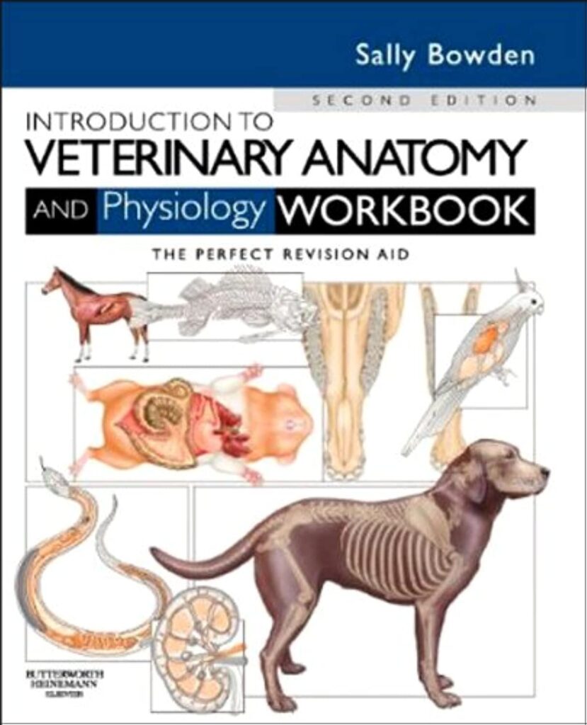 Veterinary Anatomy And Physiology Pdf