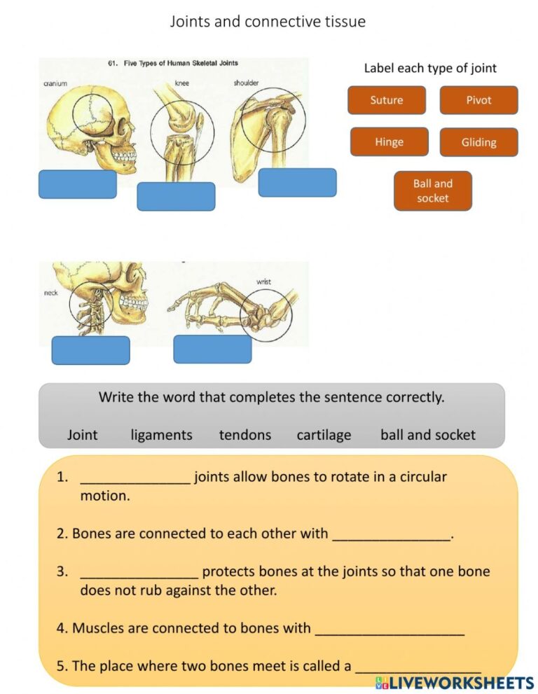 Tissue Worksheet Answer Key: 5 Essential Tips