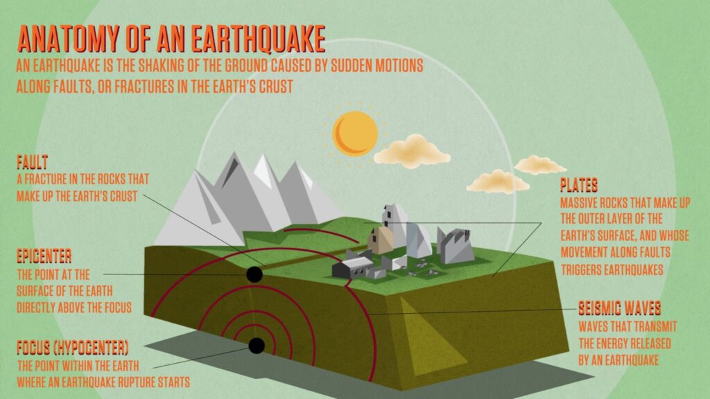 Anatomy Of An Earthquake Worksheets