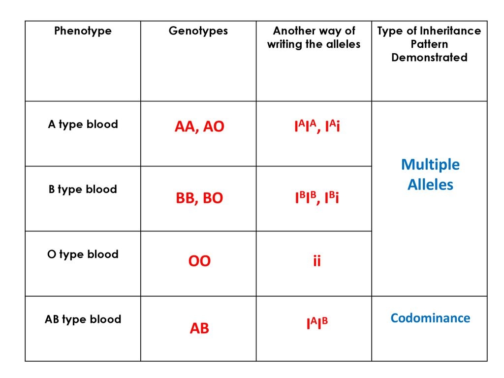 Amoeba Sisters Multiple Alleles Worksheets