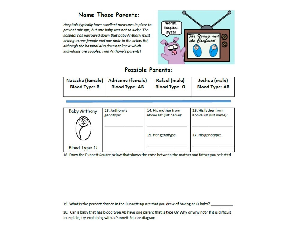 Multiple Alleles Blood Type Worksheets Answers