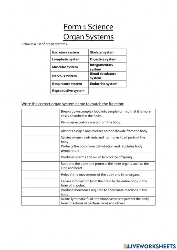 Organ Systems And Their Functions Worksheet