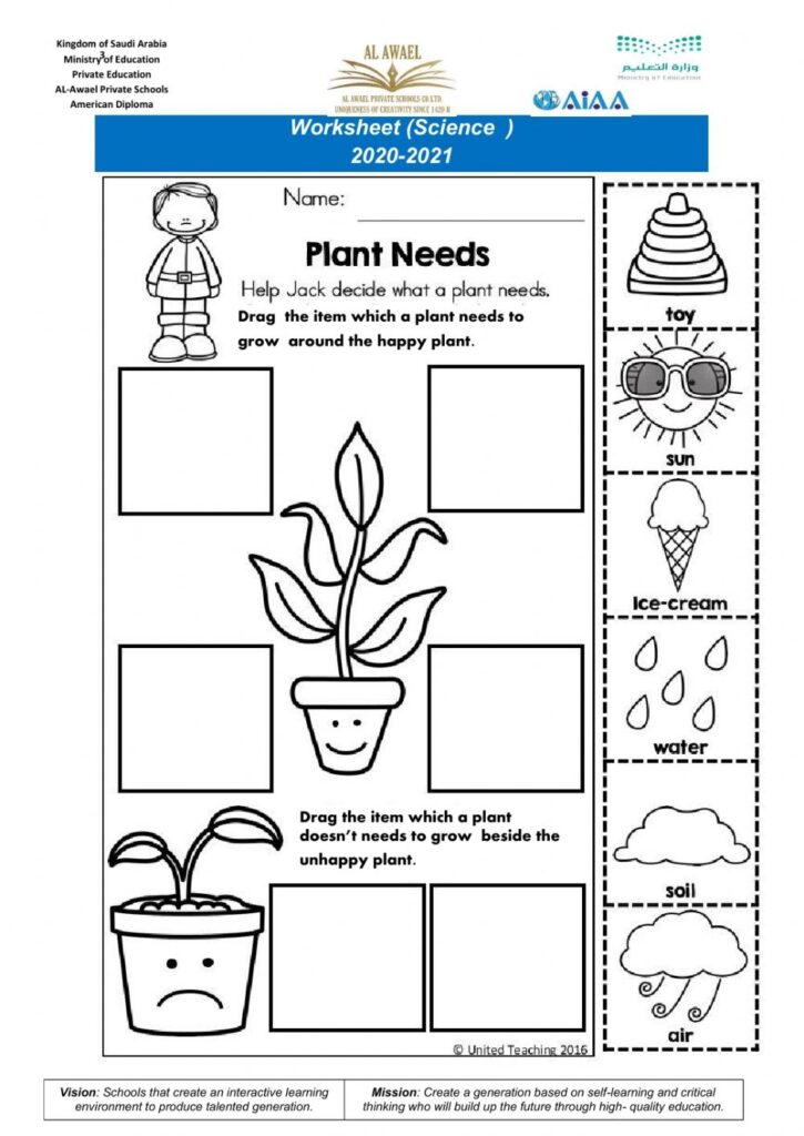 Plant Worksheets For 2nd Grade
