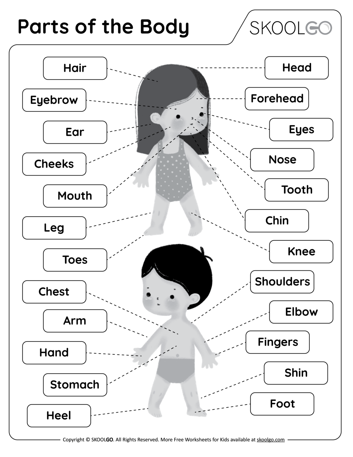 anatomy-worksheets-for-kids-printable-worksheets