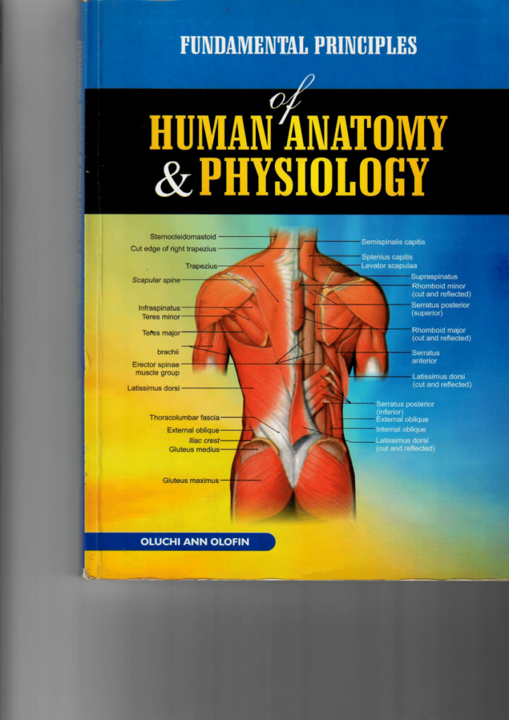 PDF FUNDAMENTAL PRINCIPLES OF HUMAN ANATOMY PHYSIOLOGY