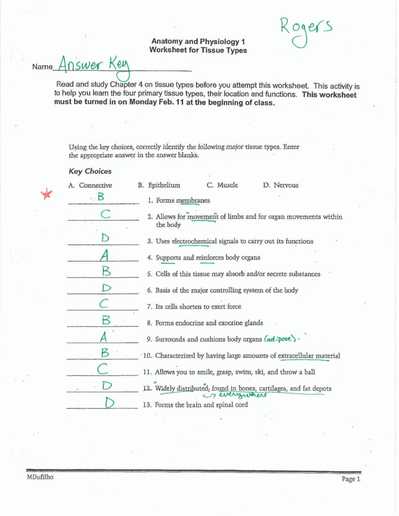 Anatomy Worksheets Epithelial Tissues Answers