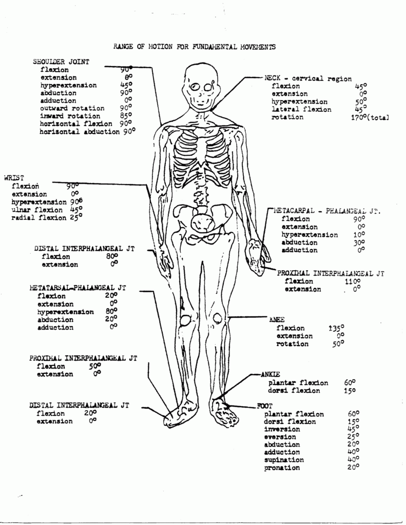 Free Printable Anatomy And Physiology