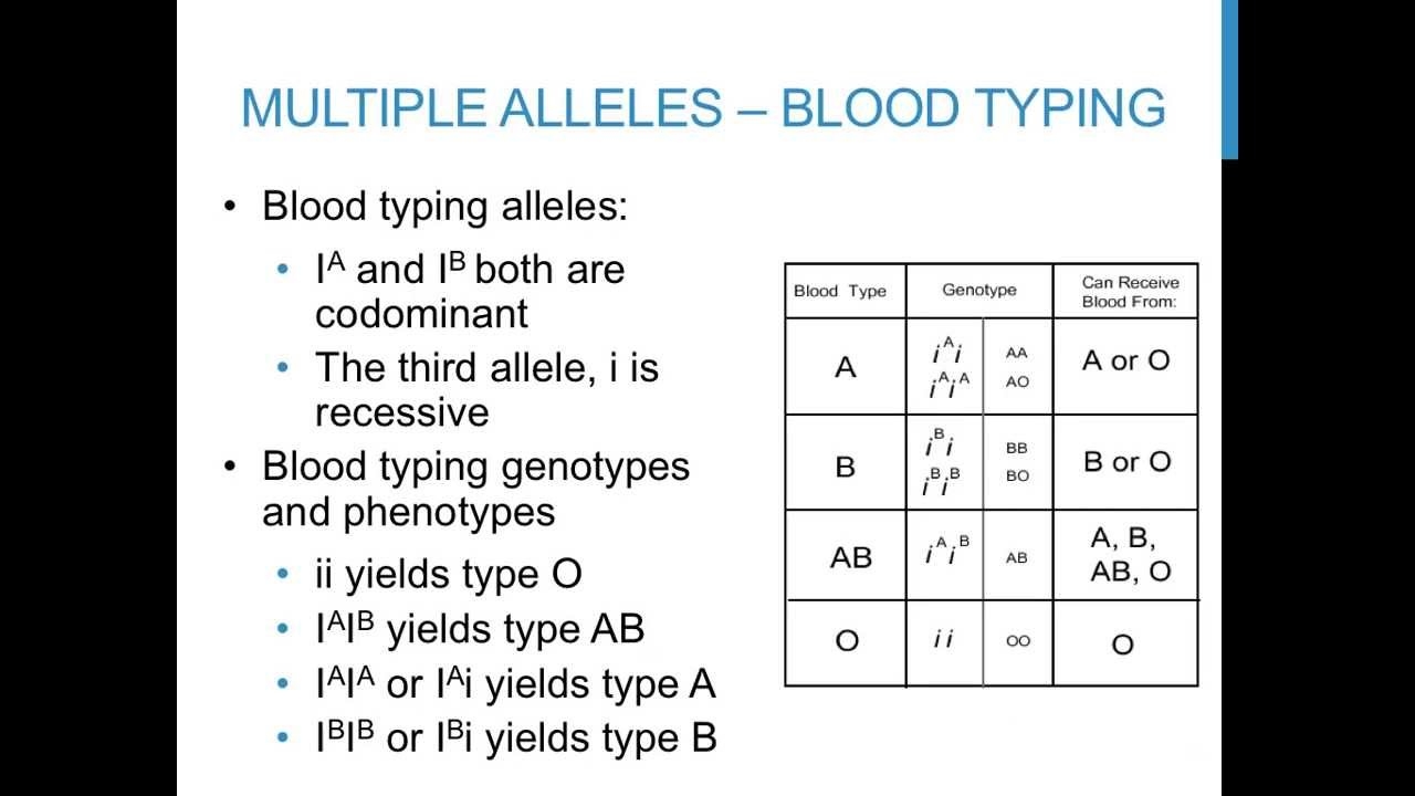 Multiple Alleles Practice Problems Worksheets Answers Pdf