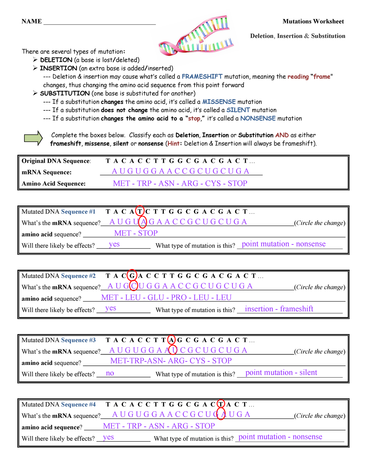 Bio Worksheet Mutations NAME Mutations Worksheet Deletion Studocu