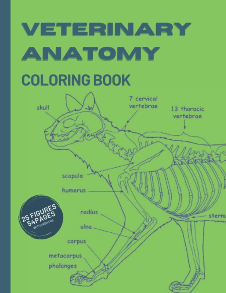VETERINARY ANATOMY COLORING BOOK 25 FIGURES 54 PAGES Animal Anatomy And Veterinary Physiology Coloring Book Vet Tech Animals Worksheets For Studying And Relaxation Biron Lili Amazon ca Books