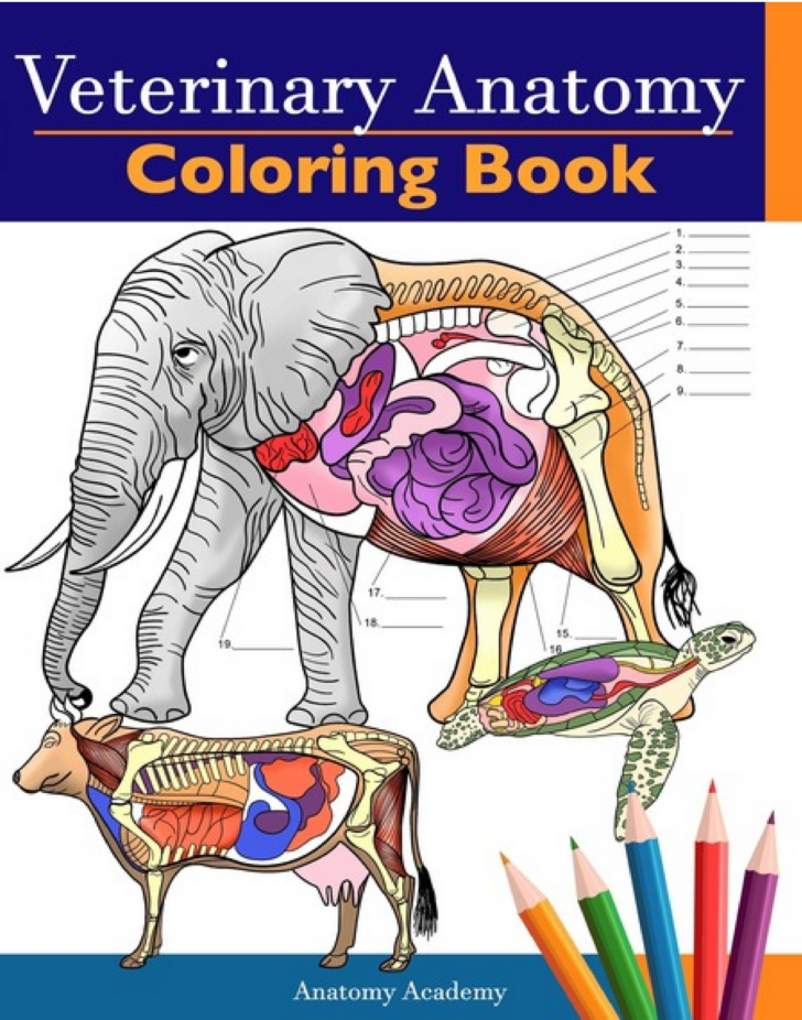 Veterinary Anatomy Coloring Book Pdf - Printable Worksheets