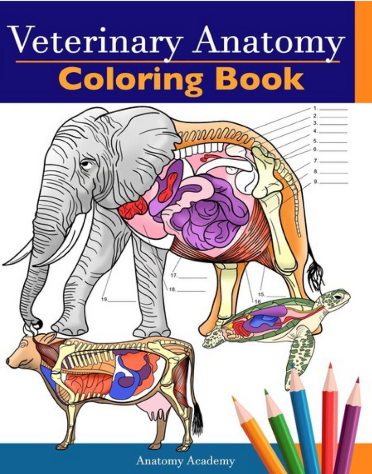 Veterinary Anatomy Coloring Book Pdf Printable Worksheets